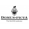 Domus Picta